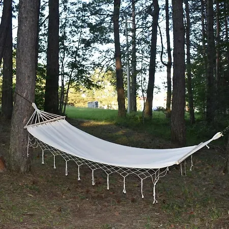 Forest Dream House- Centar * Divcibare