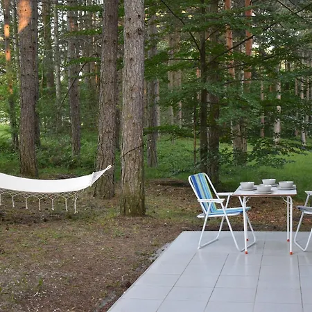 Forest Dream House- Centar