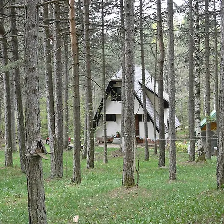 Holiday home Forest Dream House- Centar Divcibare
